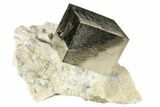 Shiny, Natural Pyrite Cube In Rock - Navajun, Spain #118258-1